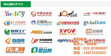 天津武清企业网络推广新选择 星科电商与专业软件服务赋能