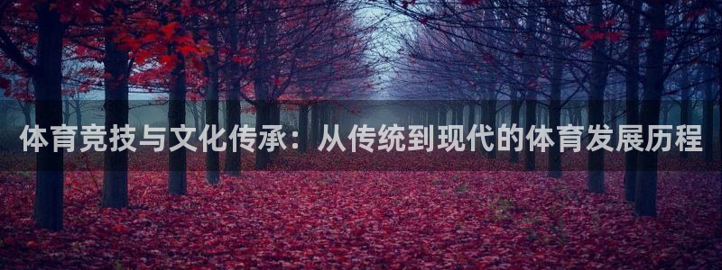 v体育官网下载：体育竞技与文化传承：从传统到现代的体育发展历程