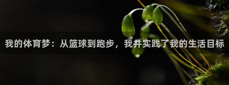 V体育网站入口登录：我的体育梦：从篮球到跑步，我并实践了我的生活目标
