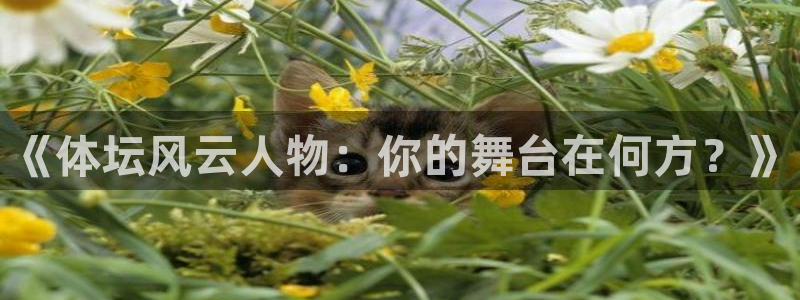 v体育官网下载：《体坛风云人物：你的舞台在何方？》