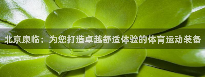 V体育APP下载：北京康临：为您打造卓越舒适体验的体育运动装备
