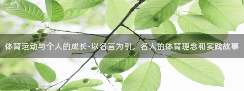 v体育合法吗：体育运动与个人的成长-以名言为引，名人的体育理念和实践故事